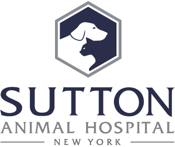 Veterinary Care in Manhattan NY