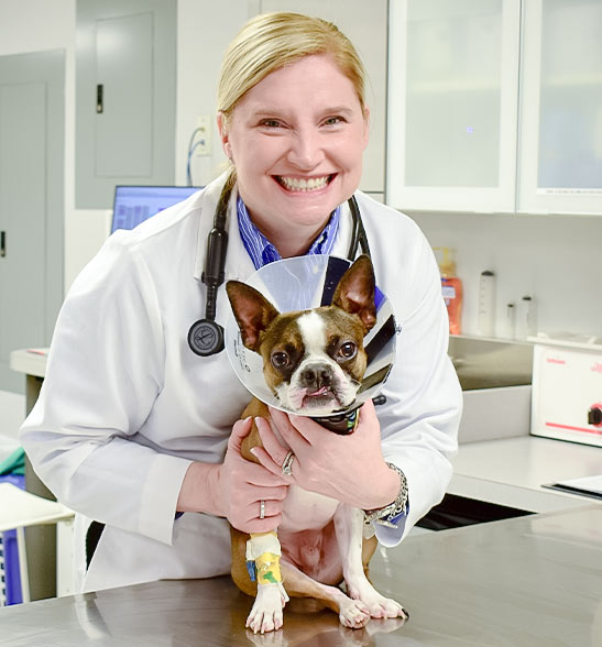 animal-hospital-new-york-city-2