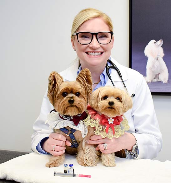 pet-vaccinations-new-york-city