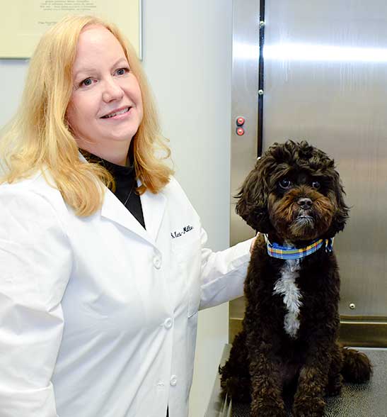 veterinarian-manhattan-new-york-5