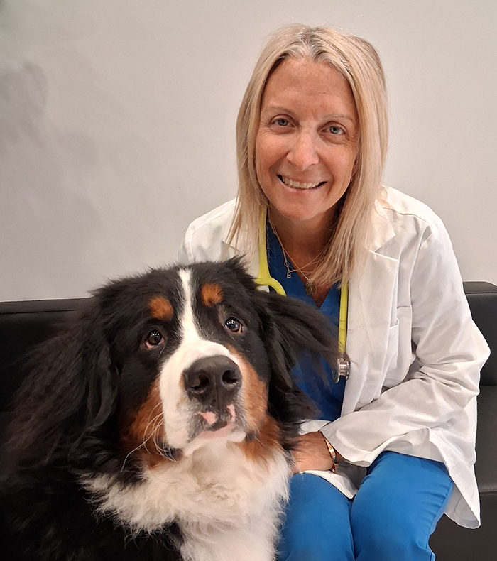Meet Dr. Poller