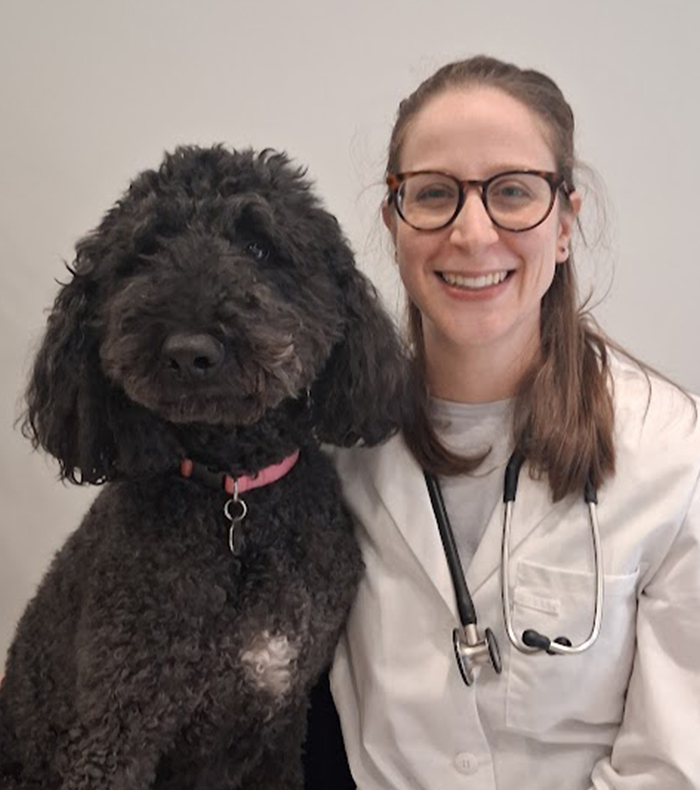 Meet Dr. Madeline Stolow